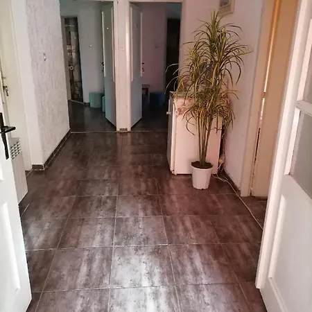 Smestaj U Okviru Domacinstva Sobe Sosa Guest house *